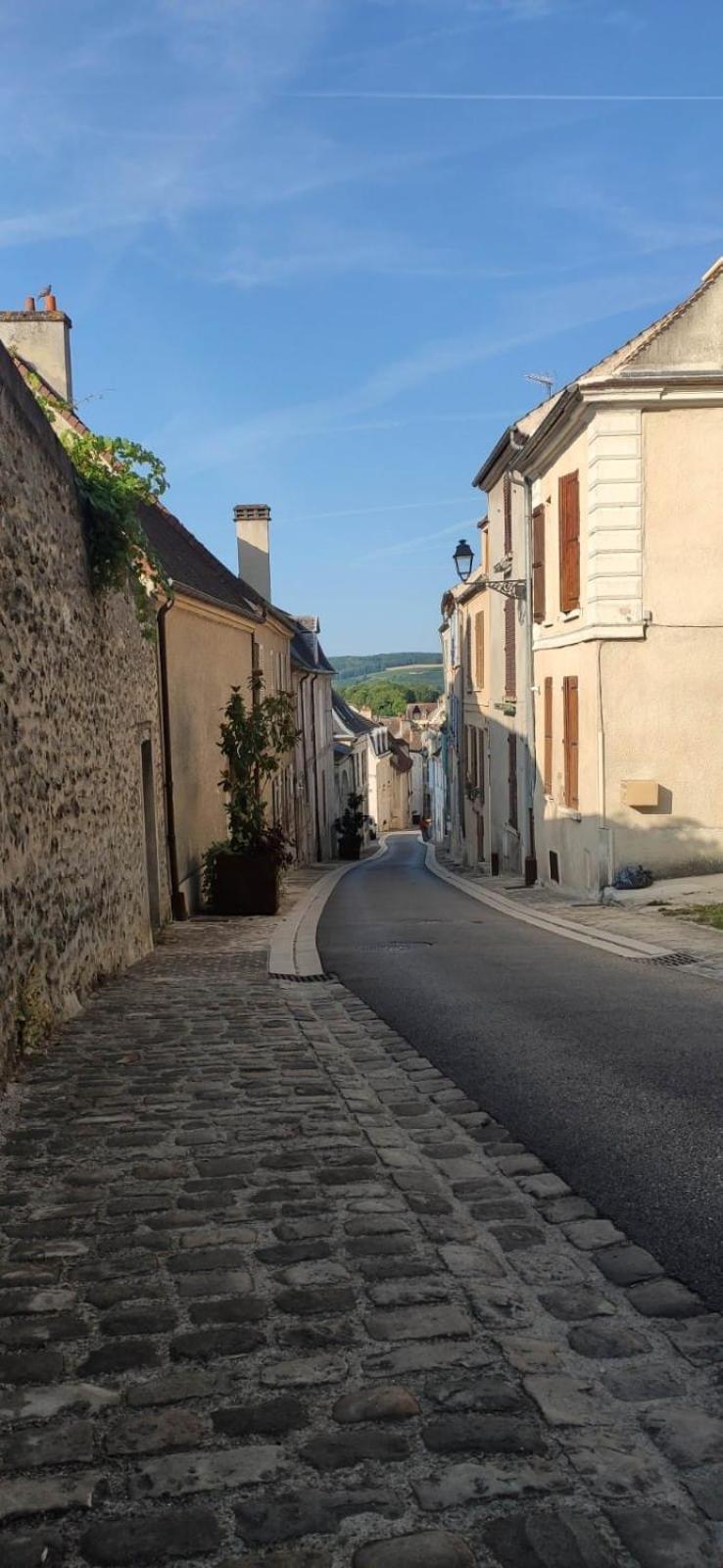 Esope By Kleidos-Ravissant T2 En Plein Centre De Chateau-Thierry Exterior photo